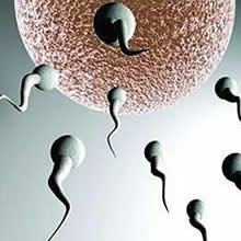 不想生畸形儿五种食物要自觉远离（图）