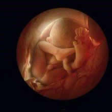 什么提示你怀了男宝宝：女人怀孕后4种情况男孩几率大