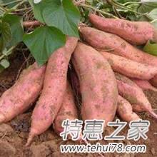 皮肤黑吃什么食物变白：让皮肤变白的美白食物