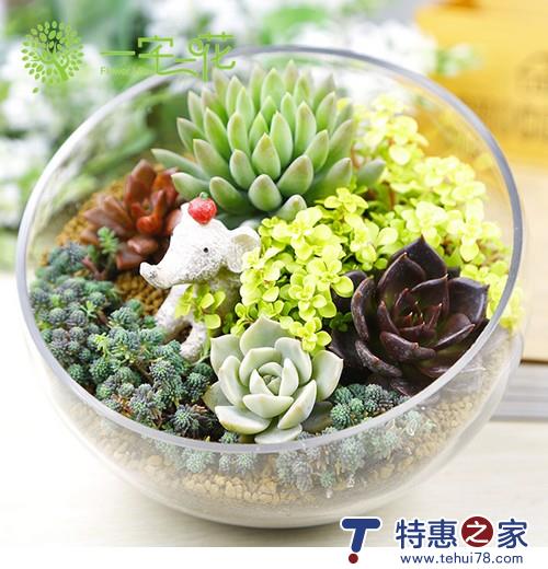 轻生活原来可以很便宜