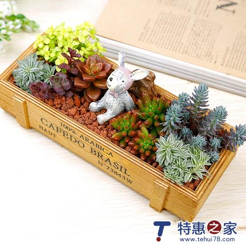 轻生活原来可以很便宜