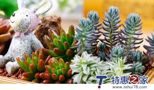 轻生活原来可以很便宜