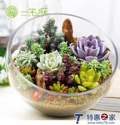 轻生活原来可以很便宜