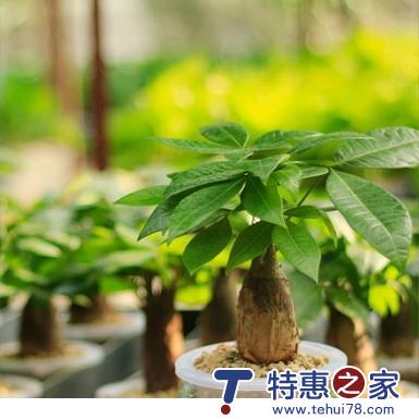 轻生活原来可以很便宜